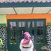 agni_85951