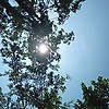 aloa_94875