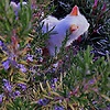 wissem_94312