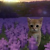 farrrahggg_62727