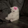 nina_31622