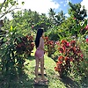 lynxy.ervas