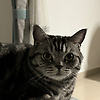 rosine_19825