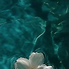 michalle_73025