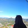nely_76417
