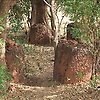 ebrima_16929