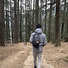 alkam_57294