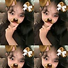 nazhari_93758