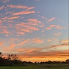 sofia_43540