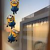 myco_28561