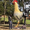 eric_26153