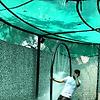 himanshu_28005