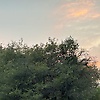 hey_26476