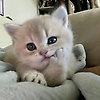 naima_94288
