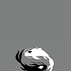 arthur_85563