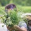 can_59073