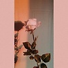 Tonya_sw