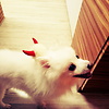 vickyfangchi