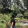 ary_91436
