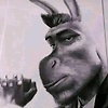vidalosqui
