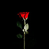 issam.bk.77