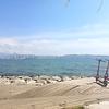 aysenur_50948