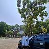 cheryll_70766