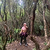 laras_85403