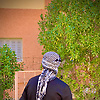 nono_41204