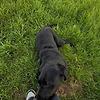 suzzy_80229