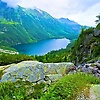 samifg_27932