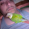 brzaki
