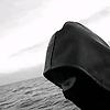 nourhn_64593