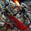 abdullah_47438
