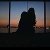 fox_60627