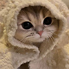 poohme