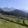 ea_79175