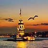 aleksandri_15449