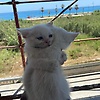 salma_35843