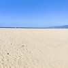 sabi_71598