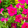 sandeep_57857