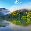 ferid_25372