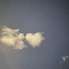 menna_23147