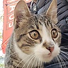 mart_50779