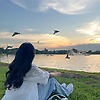 sakura_90774
