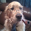 mingzhi_5033