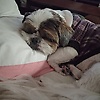 mary_99935