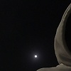 elmoooor_16018