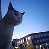 furkan_90884