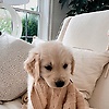 oliver_56135